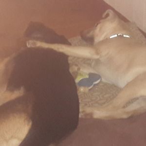 Meet your Posher, Mark